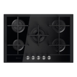 Table de cuisson &agrave; gaz: Instructions + AI Chat