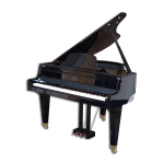 Manuel Physis Piano V100, G1000 | Chat IA &amp; PDF