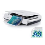 Avision DT-0602S : Manuel Utilisateur + Chat IA
