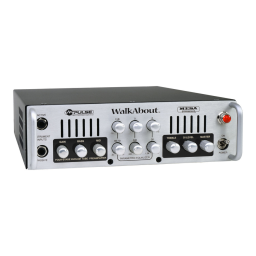 MESA/Boogie WalkAbout : Mode d'emploi + Chat IA | Fixfr