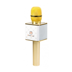 MusicMan BT-X31 Karaoke Microphone gold-white Manuel du propri&eacute;taire