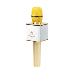 MusicMan BT-X31 Karaoke Microphone gold-white Manuel du propriétaire | Fixfr