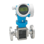 Endres+Hauser Proline Promag H 200 Brief Manuel utilisateur