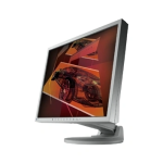 EIZO FlexScan S1932: Guide d'Utilisation + Chat IA