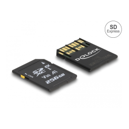 Delock 54091 Carte mémoire SD Express + AI Chat & PDF | Fixfr