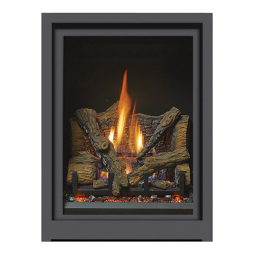 Fireplace Xtrordinair ProBuilder 24 CleanFace MV Fireplace 2019 Manuel du propriétaire | Fixfr