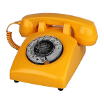 Orange D46W T&eacute;l&eacute;phone sans fil: Chat IA &amp; T&eacute;l&eacute;chargement PDF
