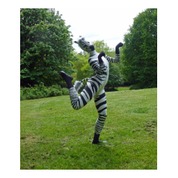 Zebra UMAN Manuel utilisateur | Fixfr