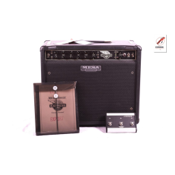 Mesa/Boogie OOGIEBMESA Manuel utilisateur | Fixfr