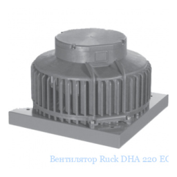 Ruck DHA 220 EC O 01 Manuel du propriétaire | Fixfr