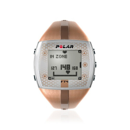 Polar FT4 Manuel utilisateur | Fixfr