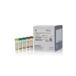 Thermo Fisher Scientific VetMAX African Swine Fever Virus Mode d'emploi