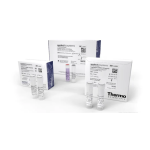 PrioCHECK&trade; BHV-1 gB Ab Strip Kit Mode d'emploi - Thermo Fisher Scientific