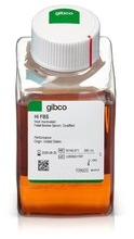 Thermo Fisher Scientific PrioCHECK Besnoitia Ab 2.0 serum plasma bovine 7610530 Mode d'emploi | Fixfr