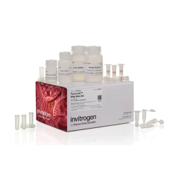 Thermo Fisher Scientific PrioWESTERN BSE Kit Mode d'emploi | Fixfr