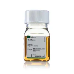 Thermo Fisher Scientific PrioCHECK FMDV NS serum cattle sheep goat pig Mode d'emploi | Fixfr