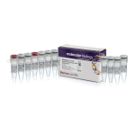 Thermo Fisher Scientific PrioCHECK CSFV Ag Strip Kit Mode d'emploi